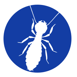 Affordable Pest Control Service in Chelmsford