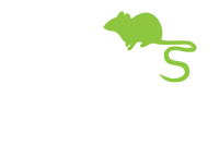 Protect Your Home From Pesky Pests With Pest Control Services in Essex